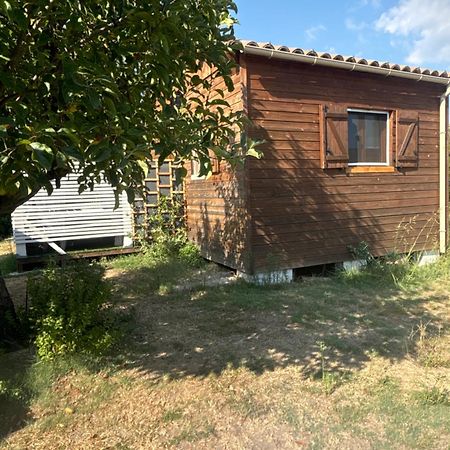 Le Chalet Pignantais Avec Option Jacuzzi Pignans Zewnętrze zdjęcie