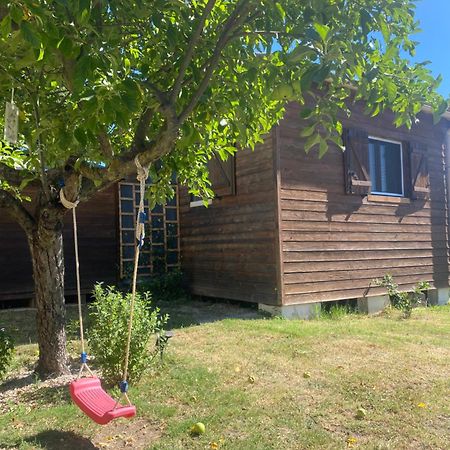 Le Chalet Pignantais Avec Option Jacuzzi Pignans Zewnętrze zdjęcie